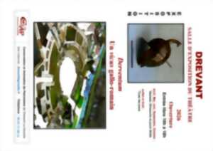 Exposition Derventum, un vicus gallo-romain