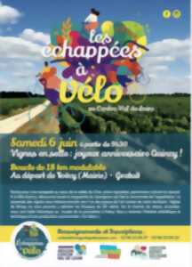 photo les échappées à vélo : Vignes en selle