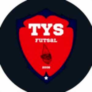 photo Séances découverte Futsal