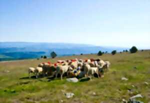 RENCONTRES PASTORALES