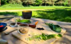 Atelier cuisine des plantes sauvage