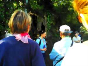 Bocage en baskets
