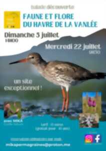 photo Balade découverte de la faune et de la flore du Havre de la Vanlée