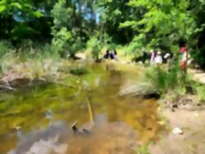 LES MARES DU PONT DU DIABLE