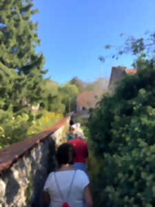 Visite guidée