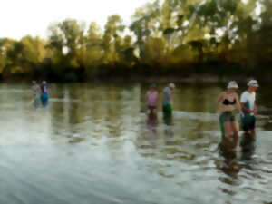 Pêche en bateau de Loire