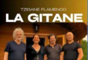 photo Concert -La Gitane