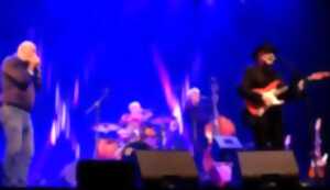 photo Concert -  Hamardy