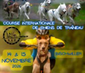 Course internationale de chiens de traîneau