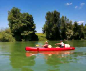 Descente de la Garonne en canoë avec observation du mascaret