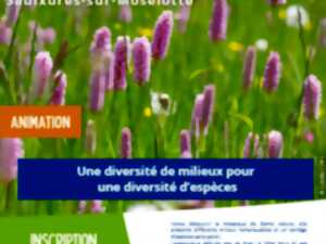 Sortie nature 
