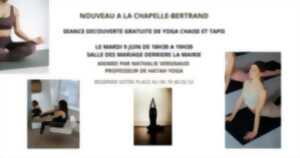 photo Séance découverte de yoga chaise et tapis