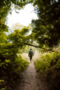 Randonnée pédestre et VTT
