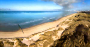 photo Dunes de Fort-Mahon - Randonnée estivale