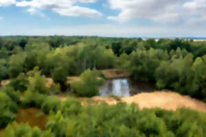 Réserve Naturelle Régionale du Plateau des Landes - Balade lecture et nature