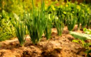 Troc de plants