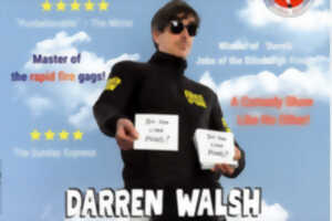Spectacle | Darren Walsh - Do you like puns?