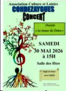 Concert