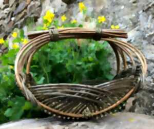 Stage panier Zarzo