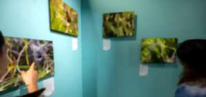 Exposition photo 