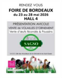 Foire de Bordeaux