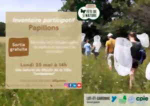 Initiation naturaliste : à la découverte des papillons !