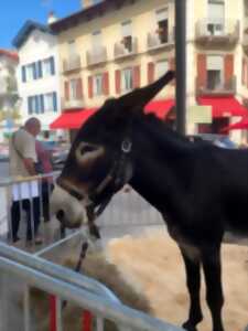 Nos terroirs en fête