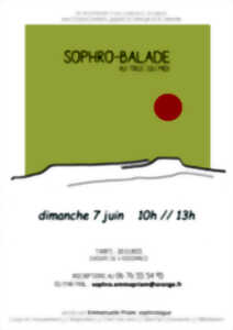 SOPHRO-BALADE AU TRUC DU MIDI