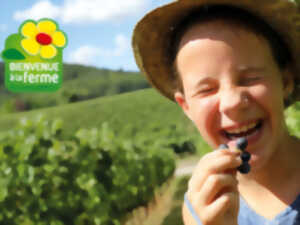 FERMES EN FÊTE AUX SAVEURS PAYSANNES