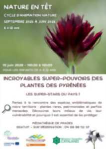 INCROYABLES SUPER-POUVOIRS DES PLANTES DES PYRÉNÉES
