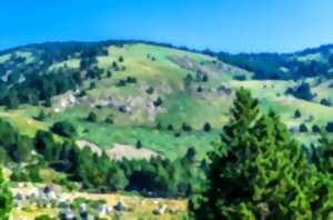 LES SENTIERS DE CLAIRE : LE CAMI RAMADER DANS LA VALLEE DE NOHEDES