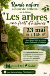 Rando Nature - à la découverte des arbres de nos forêts