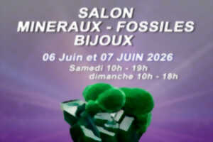 Salon minéraux fossiles