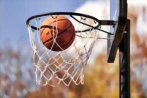 Animation sportive : Basket pour tous
