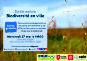 Balade découverte de la biodiversité en ville
