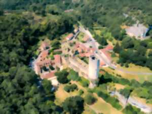 Visite guidées du château de Gavaudun