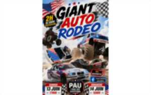 Giant Auto Rodeo