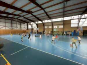 Stage de Basket