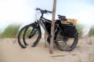 Brevet de Cucq (cyclo)