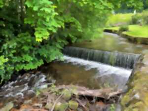 J.P.P. -  Visite guidée de la vallée des lames et de son réseau hydraulique
