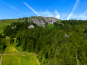 Lancement de saison au Jardin d’altitude du Haut Chitelet