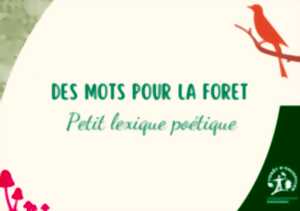 Atelier : Nos mots pour la forêt