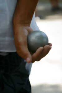 Concours de pétanque