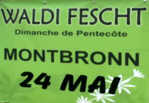 Waldifescht