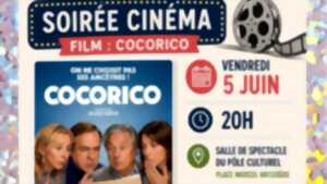 Soirée Cinéma