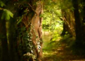 Sortie nature : Bain de forêt
