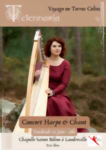 Concert