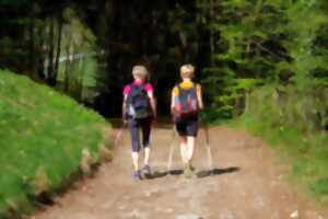 Initiation à la marche nordique