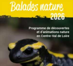 Balade nature - Les orchidées du Sancerrois