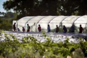 Visite du Jardin de deux'main : ferme agroécologique